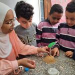 مدرسة جراند للغات بالإسكندرية –  Grand Language School – GLS – ميامي الجديدة