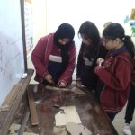 مدرسة ليدرز للغات – Leaders Language School – LLS – الإسكندرية