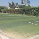 مدرسة هلالية للغات – Helalia Language School – HLS – الإسكندرية