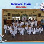 مدرسة وايز ستارز للغات – Wise Stars Language School – WLS – الإسكندرية